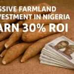 passive farmland investment in Nigeria